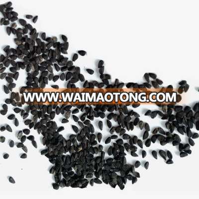 Black Cumin Seeds