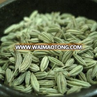 fennel seeds