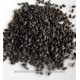 Basil Seed