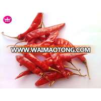 Indian Teja Chilli with Good Price