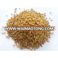 Fenugreek Seed