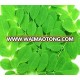 Organic Moringa Leaves