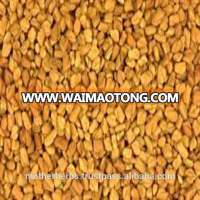 Indian Natural Fenugreek Seeds.