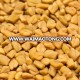 Fenugreek seeds Sortex Cleaned Best High Quality