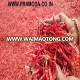 Indian hot s17/teja dry red chilli in India