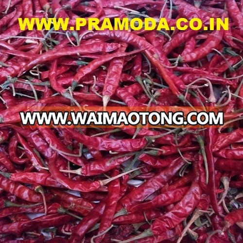 Export quality S17 dry red chilli suppliers in India